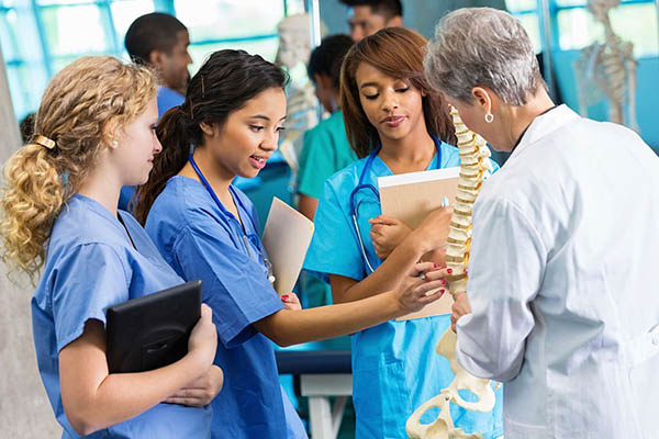 Nursing students looking at the spine of a medical skeleton