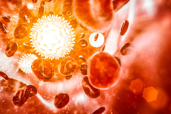 Close up photo of red blood cells in the body