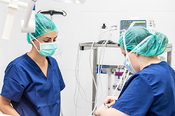 A CRNA and an SRNA in an operating room