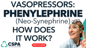 Phenylephrine: How Does it work cover photo