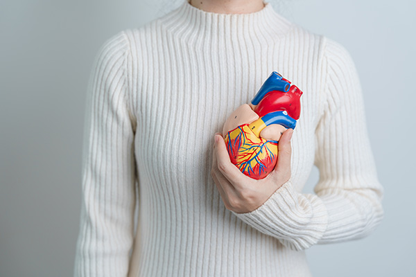 A person holding a model of a human heart near their heart area of their chest
